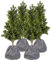 Royal Gardineer Gartenvlies: 4er-Set Thermo-Topfschutz für Pflanzen, 50x45 cm, Drainage, anthrazit (Haubenvlies, Winterschutz Hauben, Gewächshaus)