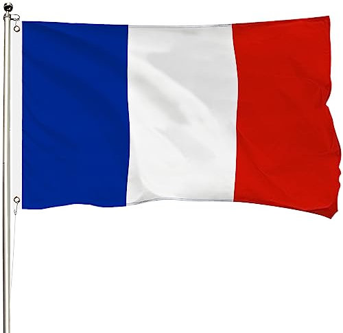 FSFLAG Drapeau de la France 0,9 x 1,5 m, drapeau de la France en polyester renforcé 400D avec deux œillets en laiton, drapeaux de France d'extérieur fabriqués à la main, résistants à la décoloration