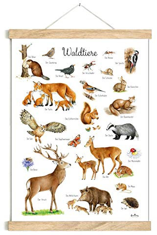 fioniony POSTER 50 x 70 cm WALDTIERE UNGERAHMT OHNE HOLZLEISTE Kinder Tierposter Lernposter Schulanfang 1. Klasse Kinderzimmer Deko Geburt Babyzimmer Wandbild Schule Kindergarten