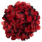 Squisiti petali di rosa artificiali, perfetti da lanciare e spargere ai matrimoni (rosso scuro con pois neri)