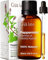 Gya Labs Ätherisches Pfefferminze Öl für Diffusor und Aromatherapie - 100% Reines Natürliches Pfefferminzöl für Haut und Haare - Kühlend, Minzduft (30 ml)