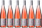 6 er Audimax Rosé feinherb 2024 | Weingut Studier | Pfalz | 6 x 0,75 l