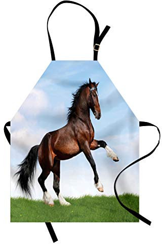 ABAKUHAUS Pferde Kochschürze, Pferd Pacing auf Gras, Unisex-Küchenlätzchen mit verstellbarem Hals für Kochen Gartenarbeit, 67 cm x 80cm, Blau, Grün, Braun