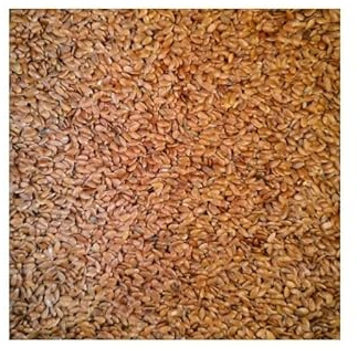 Eurital Leinsamen - für Pferde, Haustiere, Nager, Vögel, Tauben, Hunde (2,5kg)