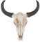 VOSAREA 1PC Hanging Long Horn Cow Skull Creative Art Crafts Ornaments Gifts for Decorating Home Wall