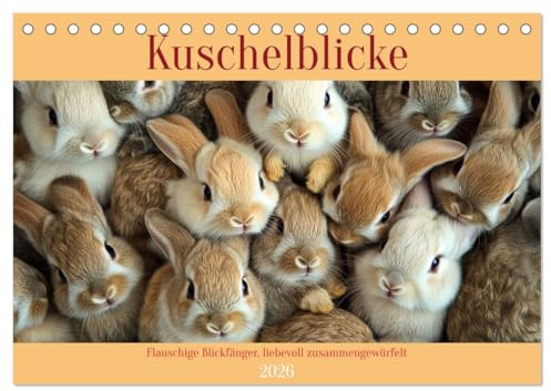 Kuschelblicke (Tischkalender 2026 DIN A5 quer), CALVENDO Monatskalender: So viel Flausch auf einem Haufen war selten so süß (CALVENDO Tiere)