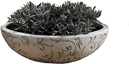 Pflanz-Schale Pflanzschale 'Ranken' Kübel Gefäß für Außen Draußen Garten Terasse Veranda Oval Blumentopf Pflanztopf 42 x 22 x 12 cm