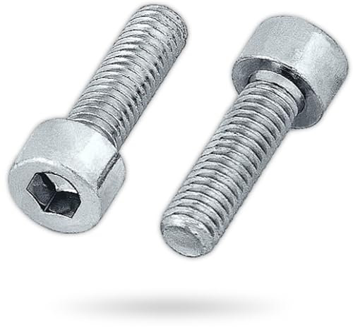 HEXATON Viti a Testa Cilindrica con Esagono Incassato M6 x 30 mm - 50 Pezzi - Filettatura Completa - Acciaio Zincato