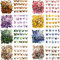 Vintage Sticker Set Schmetterling Aufkleber PET Transparente Dekorative für Scrapbooking Bullet Journal Zubehör Fotoalbum Kalender Journaling