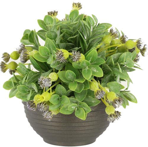 botle Pot de fleurs rond en plastique Graphite 0,5 l Ø 13 cm Pour arrangements floraux Hauteur 7 cm