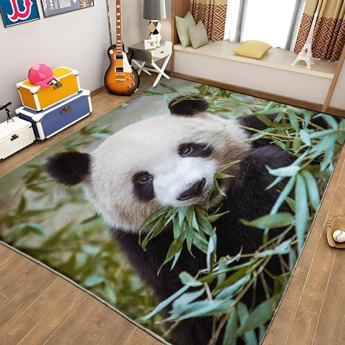 Teppiche Gegend Tierischer Panda Und GrüNer Bambus Teppich Wohnzimmer 80 x 150cm Waschbarer Teppich Kurzflor Teppich Anti-Rutsch Unterseite Heimdeko für Schlafzimmer