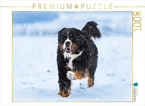 CALVENDO Puzzle Berner Sennenhund im Schnee | 1000 Teile Lege-Größe 64 x 48 cm Foto-Puzzle für glückliche Stunden