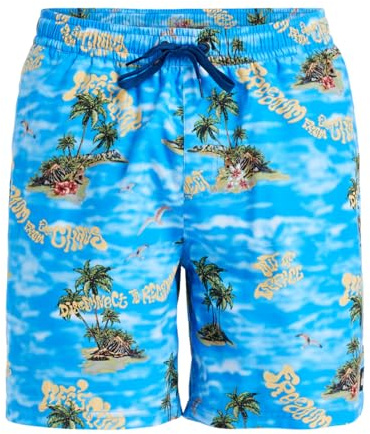 Quiksilver Everyday Straight Volley 17 - Schwimmshorts - S - Blau.