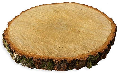 Große Holzscheibe zum Basteln oder Dekorieren - 1 Stück naturbelassene Baumscheibe aus Birkenholz mit 40 - 50 cm Durchmesser - runde Holz Birkenscheibe als Deko Holzplatte Holzdeko