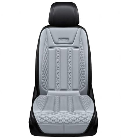 ALIEDA Auto Heizung Zigarettenanzünder, Stromschutz 12v,C-2PCS