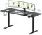 FLEXISPOT Escritorio de Pie con Tablero (Negro,200×80cm), Standing Desk, Escritorio Elevable Eléctrico Ordenador Mesa Gaming Ajustable en Altura con Memoria de Altura Automática Inteligente