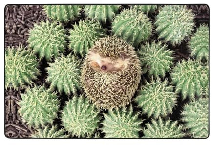 EdWal Igel-Kaktus-Druck, superweich, für den Innenbereich, für Wohnzimmer, Schlafzimmer, Badezimmer, Küche, Bodenmatten