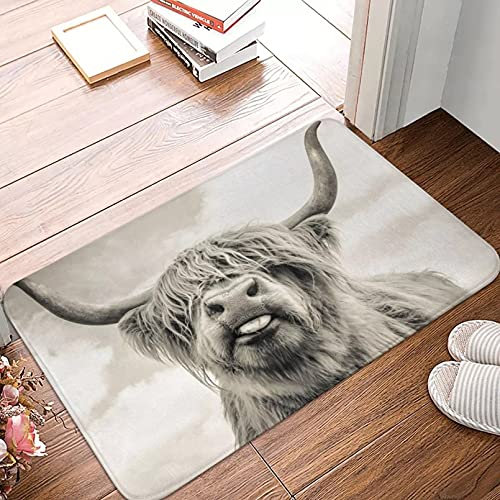 YYYFF Freche Highland Kuh Fußmatte Teppichmatte Teppich rutschfeste Bodendekor Bad Badezimmer Küche Schlafzimmer 45X75cm