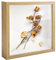3D Bilderrahmen zum Befüllen Bilderrahmen 20x20 cm für Objekt bis 3cm Objektrahmen Rohe Holzfarbe mit Glas für Fotos, Blumen,DIY Erinnerungsstücke,Deko Wand