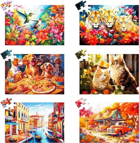 6 Pack 36 Large Piece Puzzle Age 8+ for Adults - Dementia Alzheimer's Products and Activities for The Elderly - Easy Puzzles Gift Memory Games for Patients in Nursing Home