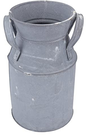 POPETPOP 1pezzi Secchio Decorativo Ferro Vintage Per Fiori e Piante Contenitore Per Succulente Stile Europeo Per Decorare La Casa e Giardino Design Retrò Con Manico Colore Argento