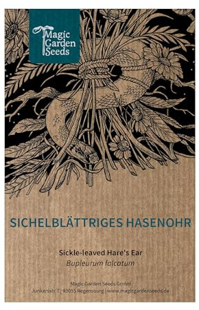 Sichelblättriges Hasenohr (Bupleurum falcatum) - Wildstaude & Heilpflanze | trockentolerant, insektenfreundlich, mehrjährig | Schnittblume für Naturgarten & Kräuterbeet