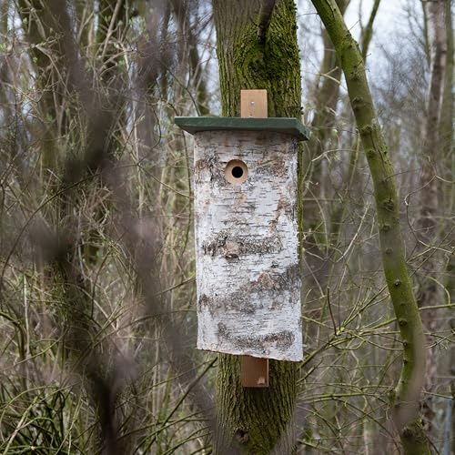 CJ Wildlife Nistkasten Specht – Nistkasten für Vögel für draußen wetterfest – Birkenholz FSC® 100% – Spechtfreundlich mit vorgebohrtem Einflugloch – Innenmaße 30x12x12 cm – 8,45 kg