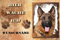 Personalisierte Hundeschilder 300 x 200 mm Schilderdruck mit Foto Hunde Schilder