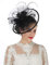 Sinamay Serre-tête bibi à plumes et fleurs pour femme Course Royal Ascot Pilulier Mariage Cocktail Thé Fête Derby Chapeau pour femme, SG-Noir, M