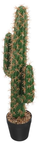 Ciieeo Cactus Artificiale in Vaso Per Decorazione Interna Piante Grasse Simulazione Per Ufficio e Casa Design Compatto Manutenzione Per Spazi Ridotti e Ambienti Rilassanti