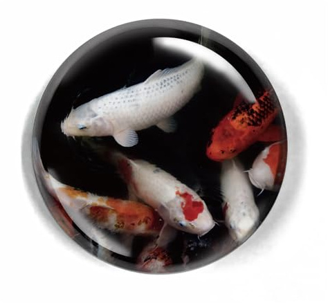 LWAY Kristall Kuppel Glas Briefbeschwerer 80mm (CARP)