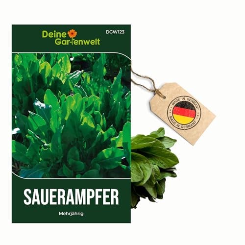 Sauerampfer Mehrjährig Samen - Rumex acetosa - Sauerampfersamen - Gemüsesamen - Saatgut für 200 Pflanzen – 3er Pack