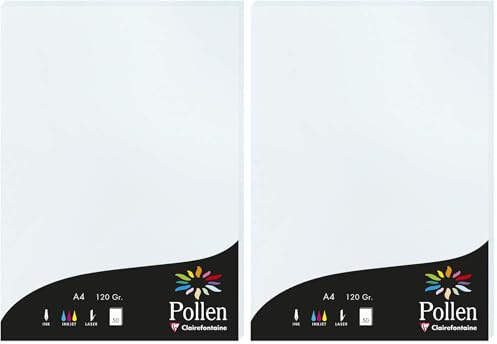 Clairefontaine 4201C Packung mit 50 Karten Pollen 120g, DIN A4, 21 x 29,7cm, Blau (Packung mit 2)