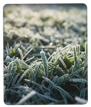 Mauspad mit Gras-Motiv Die Eiskönigin, 17,8 x 21,8 cm, rutschfestes Gaming-Mauspad, waschbar, lustige Gummiunterseite, Mauspad für Zuhause, Büro, Laptop, Computer