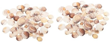 SOLUSTRE 2 Stück 1 Schalendekoration Vase -Füllstoff Muschel Mini Tank thematisiert farbig Wanddeko selber Machen Bastelzubehör selber Machen Schalen für das Handwerk Hülse