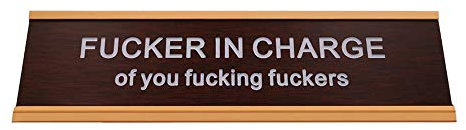 Fucker in Charge of You Fucking Fucks Funny Desk Plate Sign (2 × 8, Rose Gold Holder)