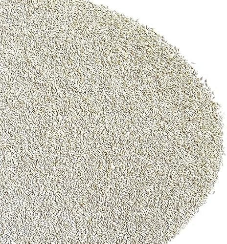 GRAMIGNA (CYNODON DACTYLON) CON RHIZO | Tappeto molto denso e verde scuro, Buona resistenza alla siccità e all'ombreggiamento, Ottima resistenza al calpestio | Il Contadino - Antiche Sementi (1 Kg)