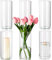 Hewory Vases Cylindriques en Verre Lot de 6, Vase en Verre Transparent de 20cm pour Fleurs, Grand Support de Bougie pour Bougies Piliers Flottantes, Vase à Fleurs Rond pour Mariage, Centre de Table