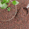 CJGQ 8,2 kg Mix Lavasteine für Pflanzen - Gartenbau Vulkangestein Kies für Landschaftsbau, Sukkulenten, Bonsai, Vasenfüller, Terrarienpflanzen, Top Dressing