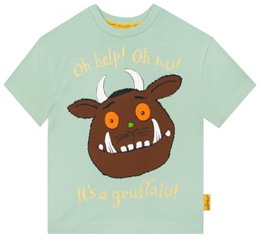 Gruffalo Boys Tshirt, Kids T Shirt with Back Print, Cotton Kids Clothes, Short Sleeve Boys' T-Shirts, Green 18-24 Months