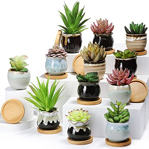 Remerry 12 Sets Sukkulent Pflanze Topf Keramik Sukkulent Topf mit Entwässerung Kleiner Porzellan Pflanztopf Kleiner Kaktus Behälter mit Rundem Bambus Pflanze Tablett Bonsai Sukkulent Untersetzer