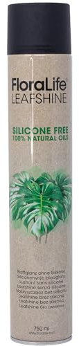Flowerbox Oasis FLORALIFE Foglie lucida senza siliconi, 750 ml, spray lucido per la cura delle foglie, per piante d'appartamento, piante verdi