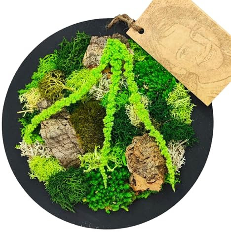Quadro Tondo di Muschio e Licheni Stabilizzati Vero diametro 20 cm Velia in Fiore, Con cornice in Legno, decorazione da parete naturale per la casa o ufficio