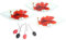 Aperitif-Set mit 3 Schalen aus Glas mit 6 Teilen, in einer Box, Aperitif-Service, Motiv Mohnblume, Farbe Weiß und Rot, sehr schönes und elegantes Design, Snack-Set mit 3 Behältern für Aperitifs