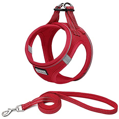 Suredoo Hundegeschirr mit Leine Anti Zug Geschirr Reflektierend Brustgeschirr für Kleine Hunde, Haustiere, Welpen, Katzen (Rot, L)