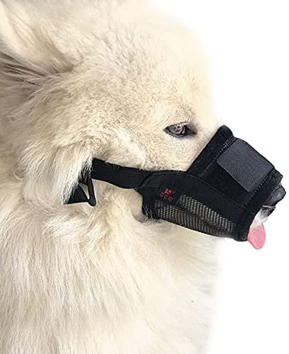 Maulkorb für Hunde, Anti Beißen, Atmungsaktiv und Kauen mit Bequemen Nylon Mesh Soft Fabric und Verstellbare Schlaufe Geeignet für Kleine, Mittlere und Große Hunde (S)