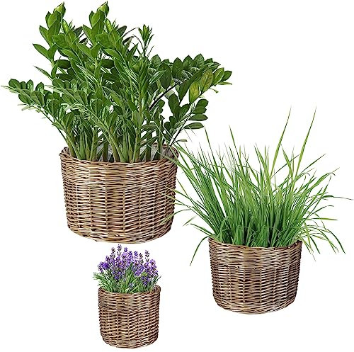 Dibor Natural Willow Wicker Planter Indoor/Outdoor Plastic Lined Rattan Flower Pot Strawberry Herb Plant Pot (S/3)