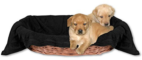 Bestlivings Tierdecke Hundedecke Kuscheldecke Haustierdecke, kuschelig weich in vielen erhältlich (80x120 cm/schwarz - JetBlack)