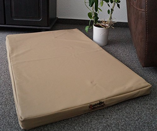 Hundebettenmanufaktur Hundematratze Hundebett beidseitig Kunstleder Schaumstoff 5 cm Verschiedene Größen und Farben wählbar (105 cm X 65 cm, beige)