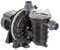 Pompe À Filtration 0.5 Cv, 9m3/h Mono - P-STR-051E2